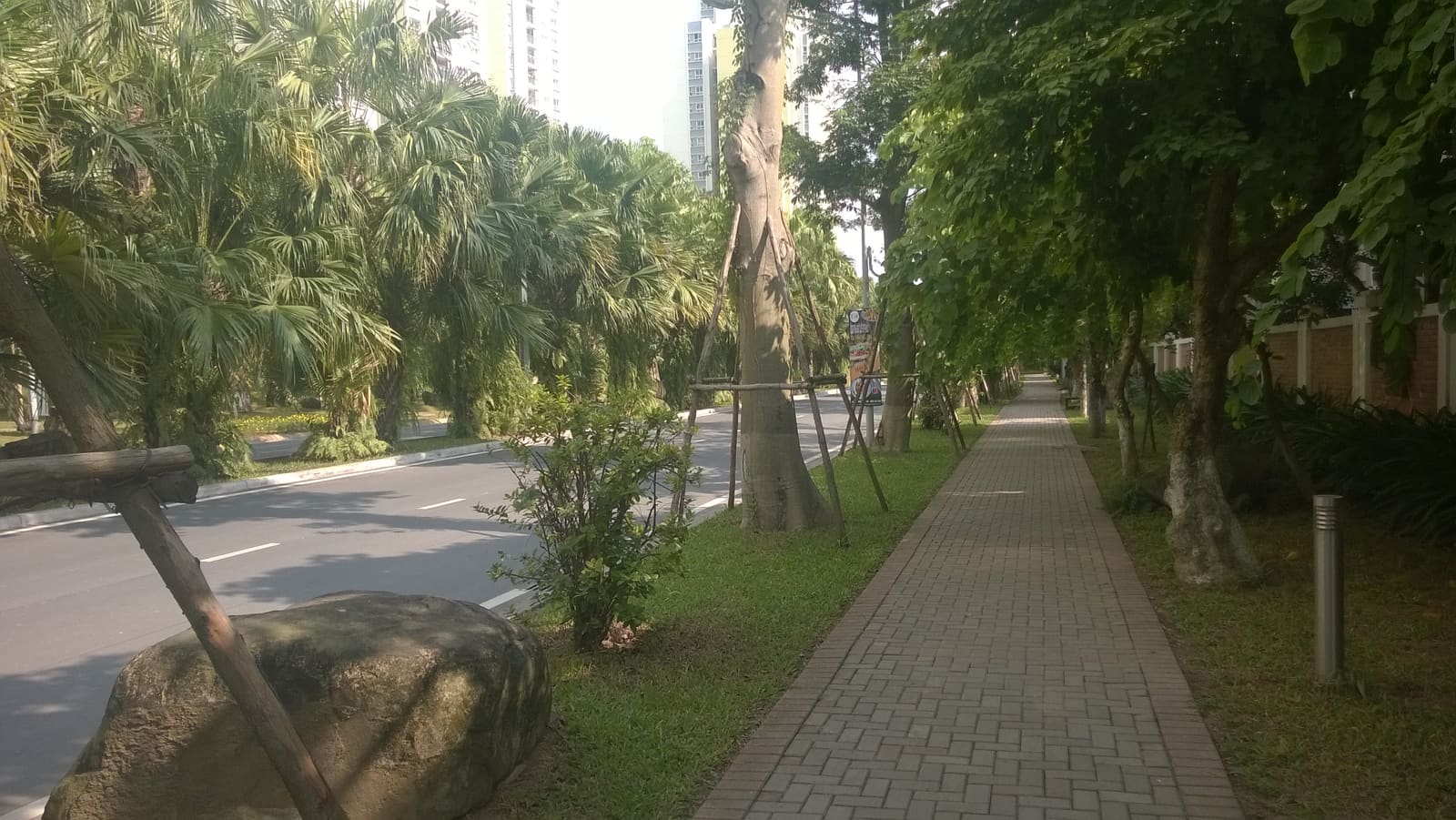 Đường nội khu rợp bóng cây cọ trong khu đô thị Ecopark, khu Rừng Cọ
