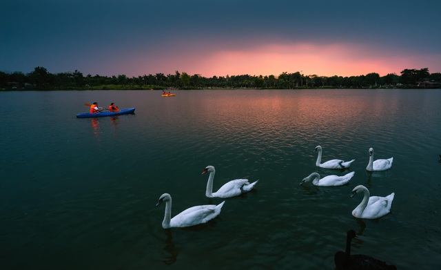 Hồ nước Ecopark lúc hoàng hôn, có người chèo thuyền kayak